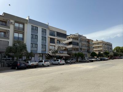 İşyeri-Dükkan & Mağaza