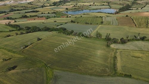 Arsa-Tarla