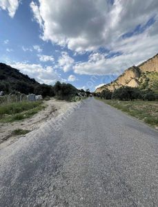 Arsa-Zeytinlik