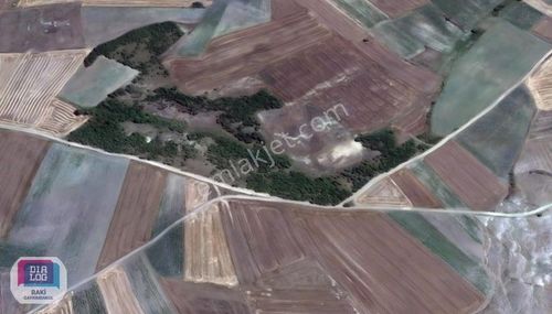 Arsa-Tarla