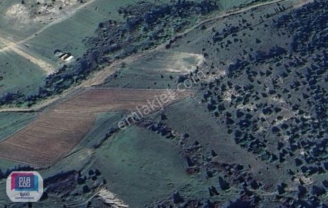 Arsa-Tarla