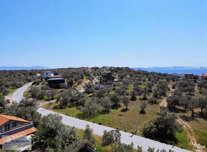 Arsa-Turizm İmarlı