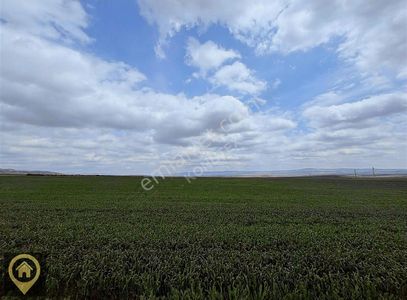 Arsa-Tarla
