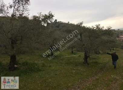 Arsa-Bağ & Bahçe