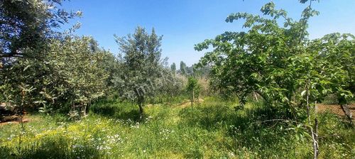 Konut-Müstakil Ev