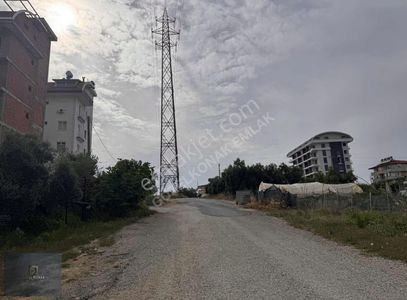 Arsa-Konut İmarlı