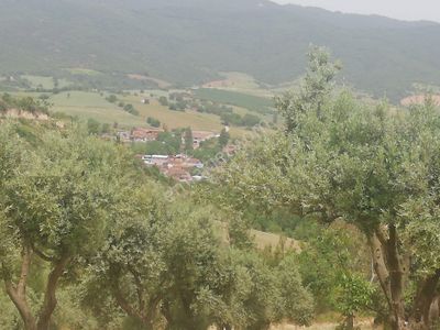Arsa-Bağ & Bahçe