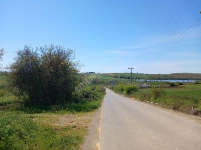 Arsa-Tarla