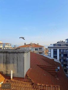 Konut-Daire