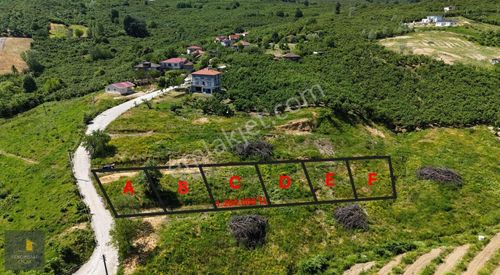 Arsa-Konut İmarlı