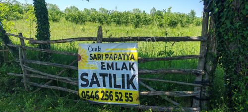 Arsa-Tarla