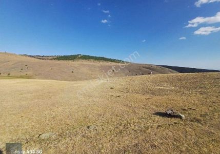 Arsa-Tarla