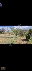 Arsa-Bağ & Bahçe