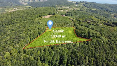 Arsa-Bağ & Bahçe