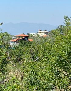 Arsa-Tarla