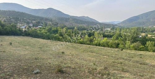 Arsa-Tarla