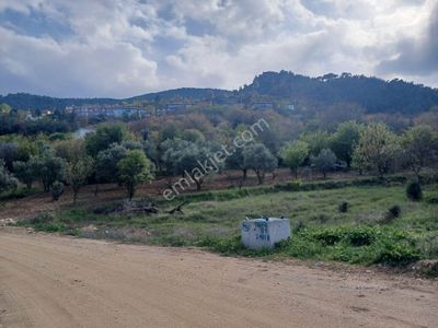 Arsa-Bağ & Bahçe