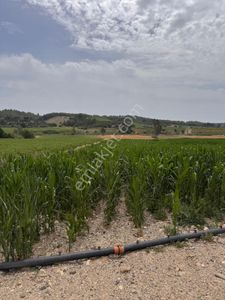 Arsa-Tarla