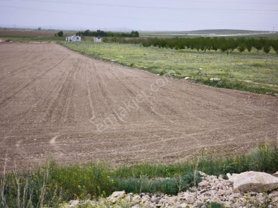 Arsa-Tarla