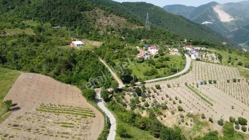 Arsa-Bağ & Bahçe