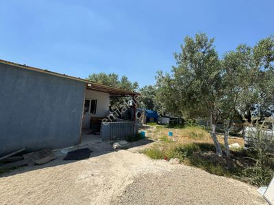 Konut-Müstakil Ev