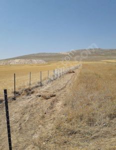 Arsa-Tarla