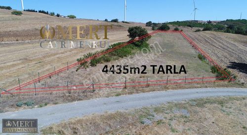 Arsa-Tarla