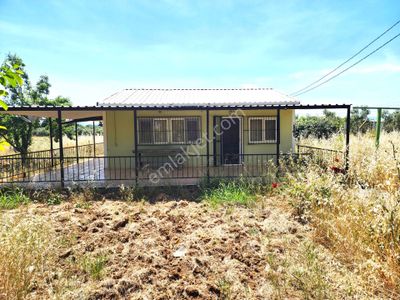 Arsa-Tarla