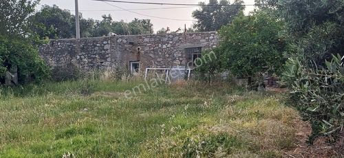 Konut-Köy Evi