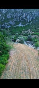 Arsa-Tarla