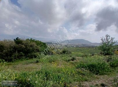 Arsa-Konut İmarlı