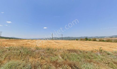 Arsa-Konut İmarlı