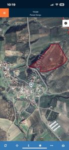 Arsa-Zeytinlik