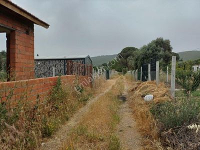 Arsa-Bağ & Bahçe