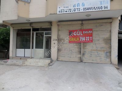 İşyeri-Dükkan & Mağaza
