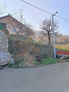 Arsa-Konut İmarlı