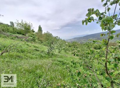 Arsa-Konut İmarlı