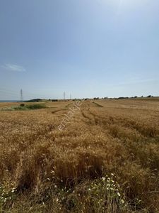 Arsa-Tarla