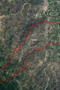 Arsa-Zeytinlik