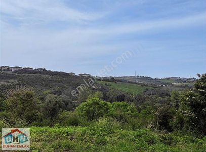 Arsa-Villa İmarlı