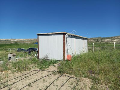 Arsa-Tarla