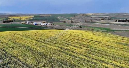 Arsa-Tarla