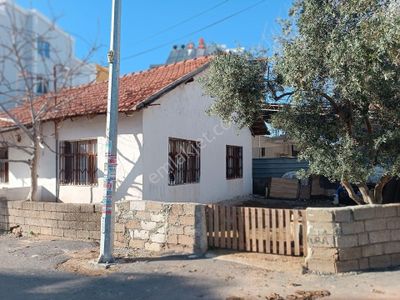 Konut-Müstakil Ev