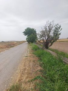 Arsa-Tarla