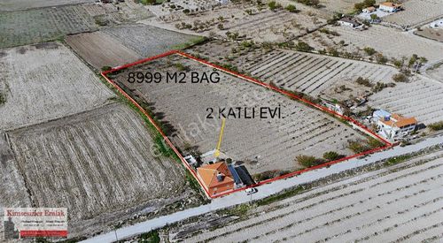 Arsa-Bağ & Bahçe