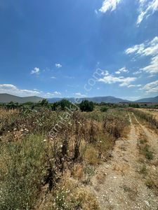 Arsa-Tarla