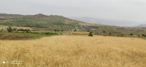 Arsa-Tarla