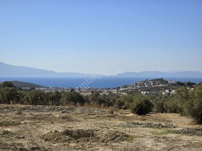 Arsa-Villa İmarlı