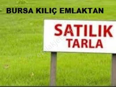 Arsa-Tarla
