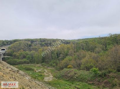 Arsa-Tarla